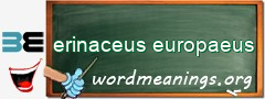 WordMeaning blackboard for erinaceus europaeus